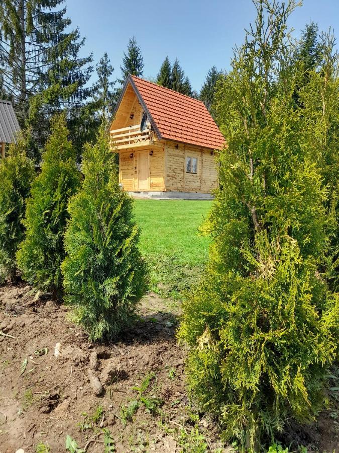 Вилла Tisina Tare Баина-Башта Экстерьер фото